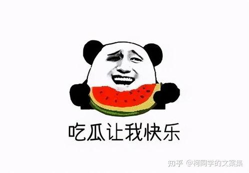 吃瓜群众免费吃,全民狂欢!揭秘吃瓜群众福利盛宴 第1张 吃瓜群众免费吃,全民狂欢!揭秘吃瓜群众福利盛宴 第1张